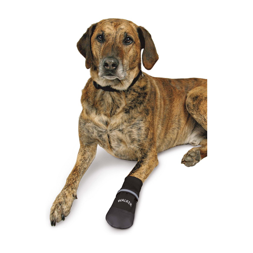 prod1000-dog_clip_19475-19476-1.png