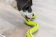 prod1000-pro_dog_34949-2_.png