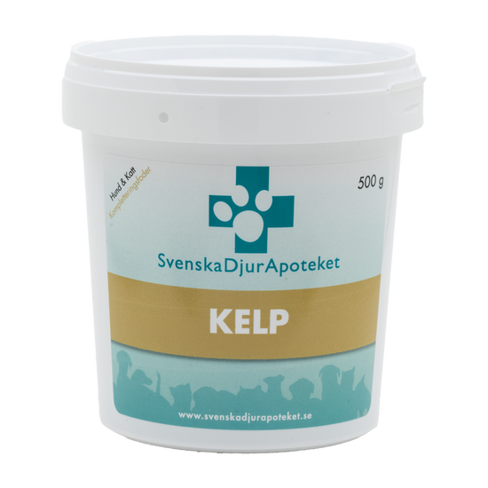 kelp_500g_uppd_2048x2048.png