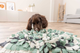 prod1000-dog_32037-12.png
