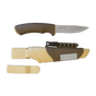 Desert