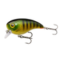 Perch