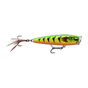 Gilded Firetiger