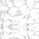 prod1000-28785-28786-28787-28788-1.png