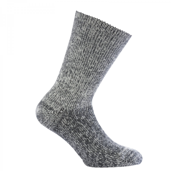 J0013044_1.png
