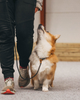 retriever_leash_setting_3.png