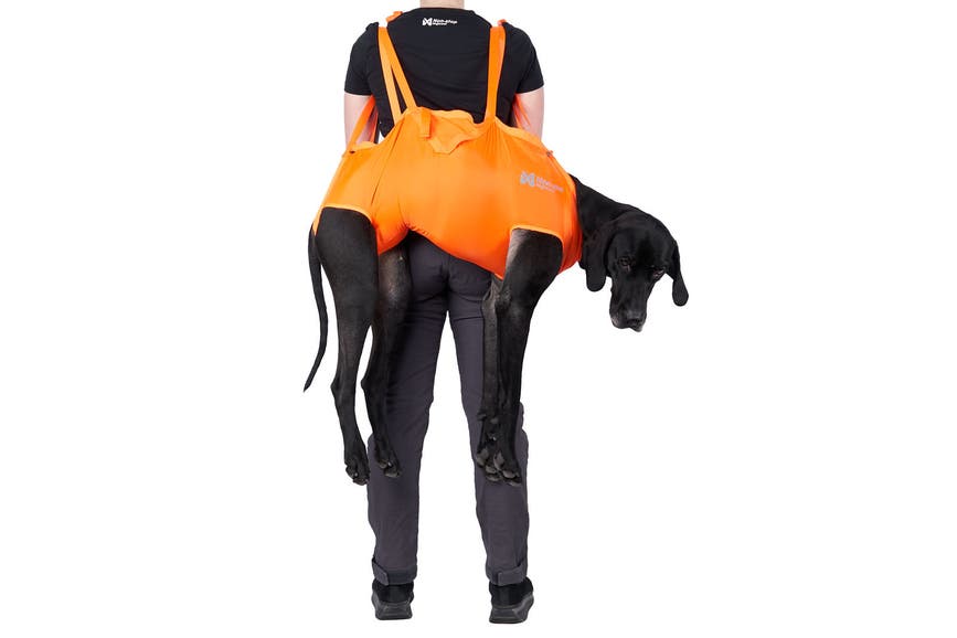 dog_rescue_sling_1.jpg