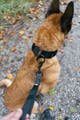 lsh-55016_02.jpg