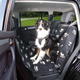 prod1000-pho_pro_dog_13235-1.png