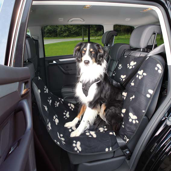 prod1000-pho_pro_dog_13235-1.png