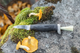 2023-03-al-muschroom-knife-black-birch_.webp.png