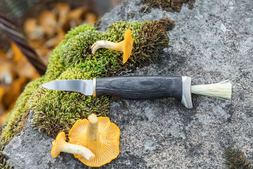 2023-03-al-muschroom-knife-black-birch_.webp.png
