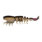 Natural Shrimp