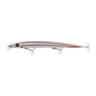Gold Anchovy
