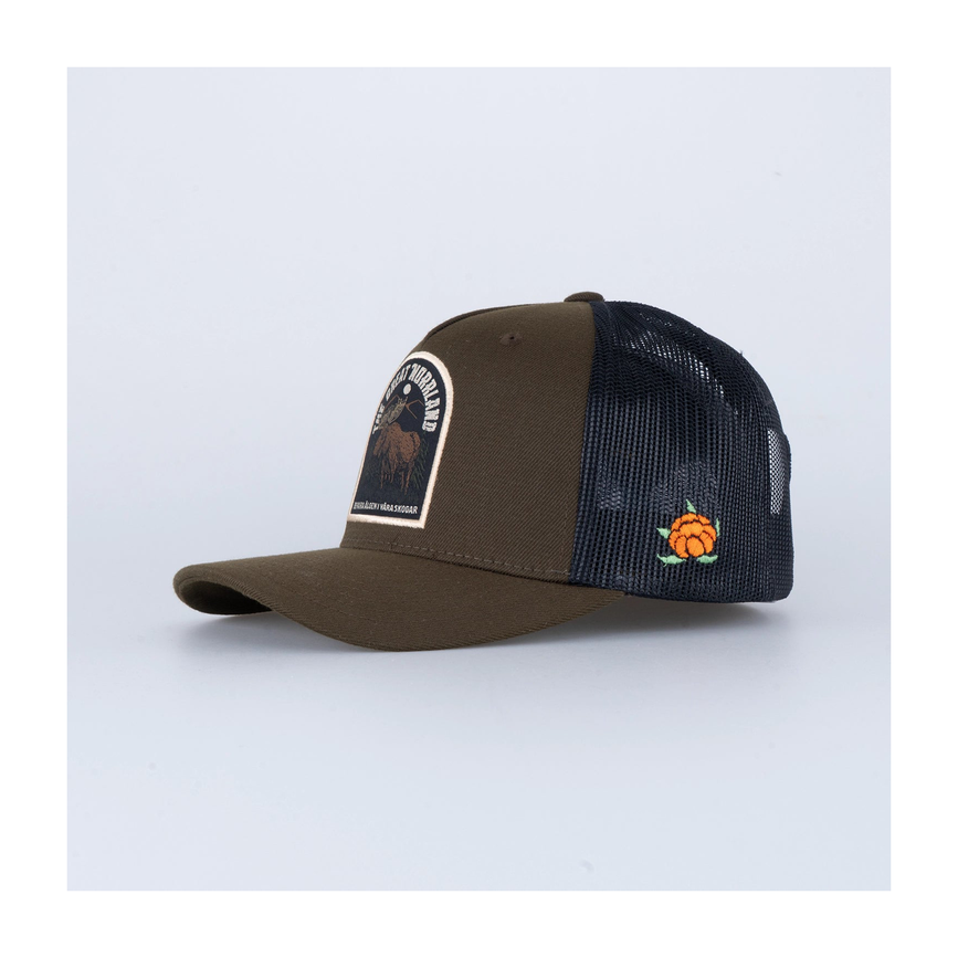 files-algentruckerkeps-olive1.png