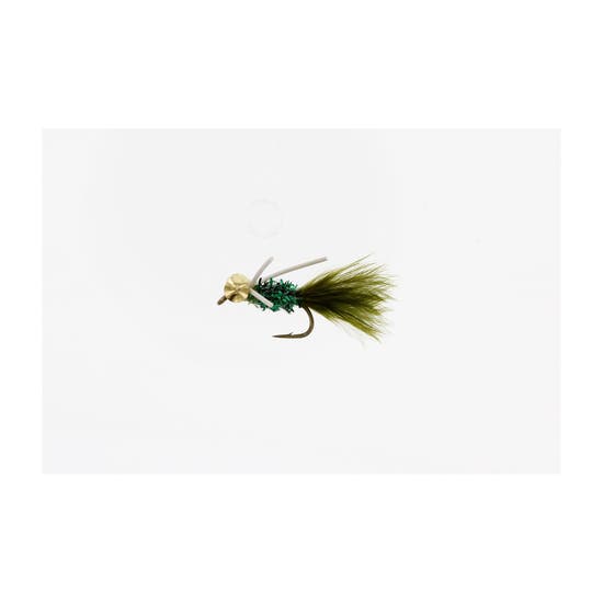 4-fairpoint-public-pim-bc-8be33ab9-d76c-4b84-a9e0-6d4d6a5dc273-fl24099zy_fl22044_x1_large.png