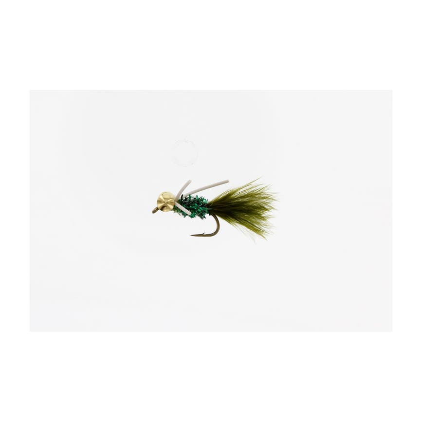 4-fairpoint-public-pim-bc-8be33ab9-d76c-4b84-a9e0-6d4d6a5dc273-fl24099zy_fl22044_x1_large.png