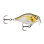 Ayu