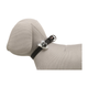 prod1000-use_clip_13440-1.png
