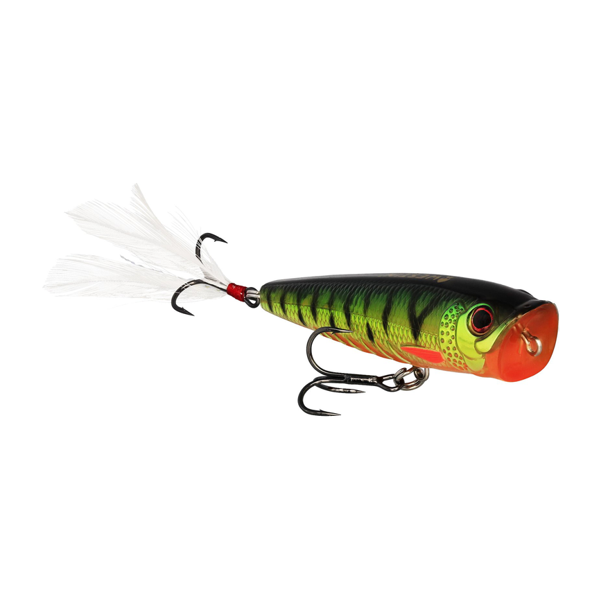 6-fairpoint-public-pim-bc-4f6b9fac-0187-4c6b-97d1-3f452f1c0d5a-p236_spot-on-popper_headline_large.png