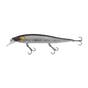 Baitfish
