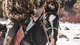 medium_cropped_wide-public-content-images-2023-02-veracity_ph_gallery_(3)_.webp.png