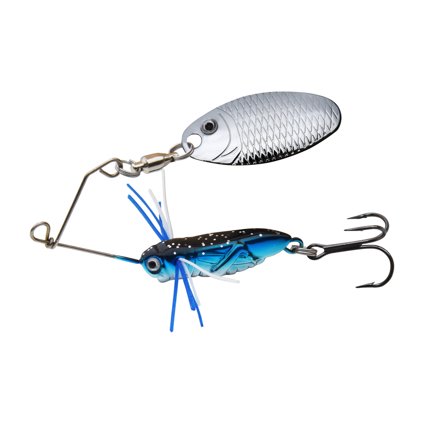 bug65-01.png