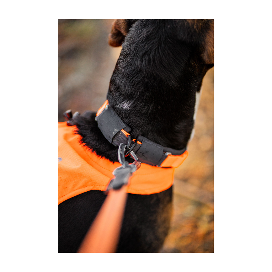 protector_collar_setting_5.png