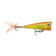 api-2000x2000,fit-new-151376.png