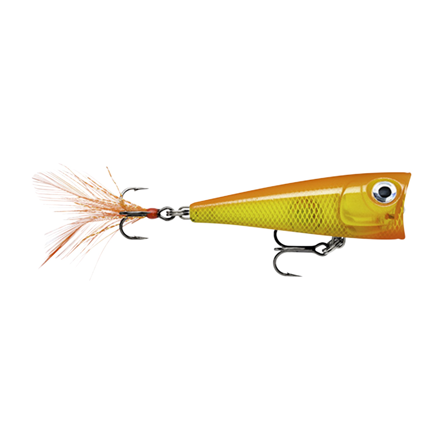 api-2000x2000,fit-new-151376.png