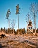 5813-182-40_Pinewood.jpg