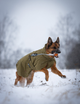glacier_jacket_wd_setting_12.png