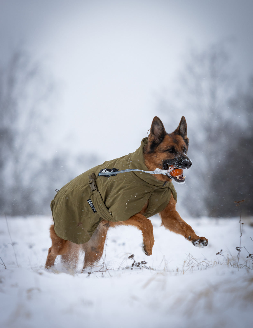 glacier_jacket_wd_setting_12.png