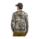 pinewood-gung-pim-images-upload-5348-969-66_pinewood.png