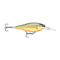 Gilded Scaled Roach