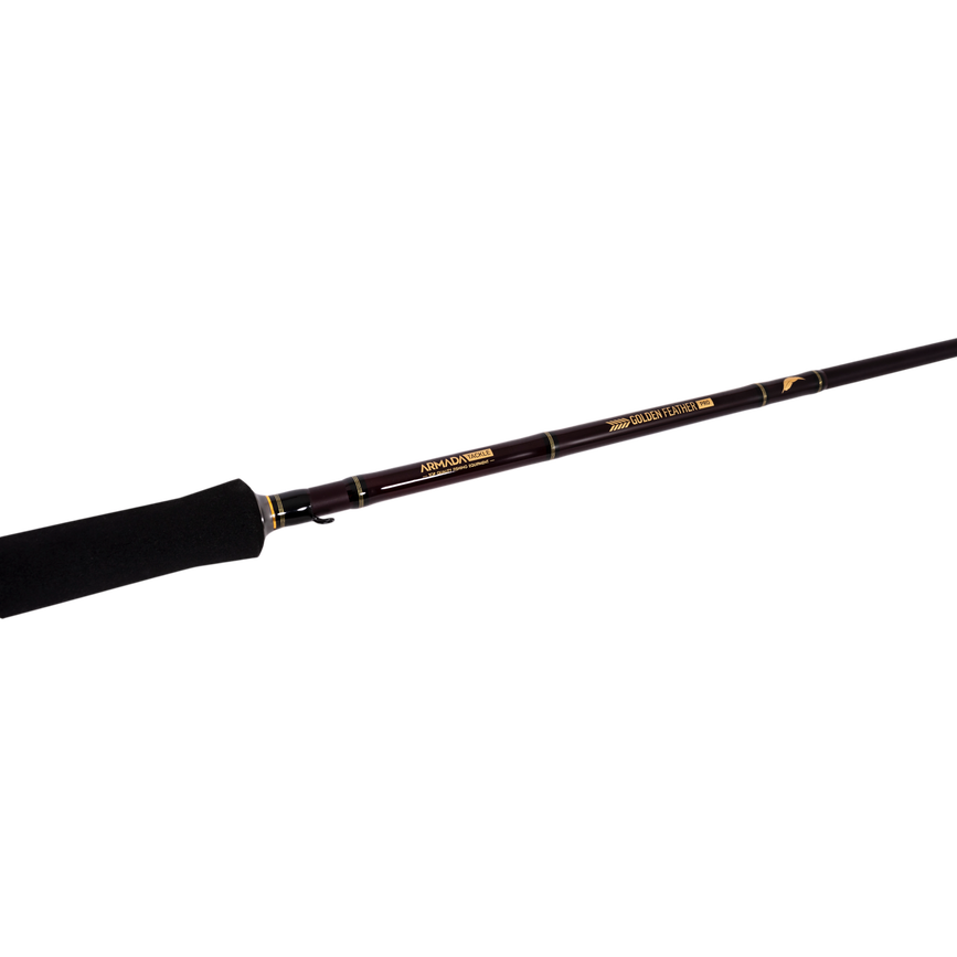 at200g2260100_6_golden_feather_spinning_7'4____226cm_100g.png