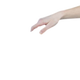 prod1000-pho_pro_det_13490-6.png