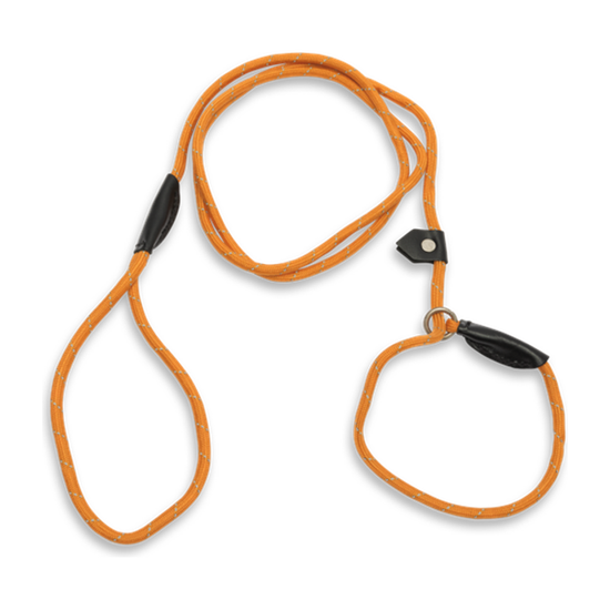 ba170kora180.png