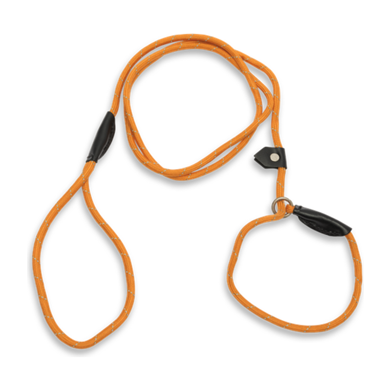 ba170kora180.png