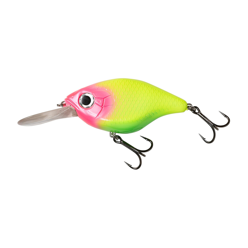 svs59962_ms.png