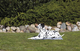 prod1000-pho_pro_dog_28787-6.png