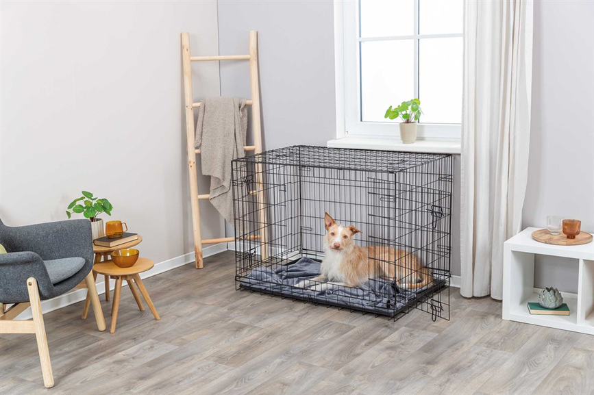 prod1000-dog_39304-1_.png