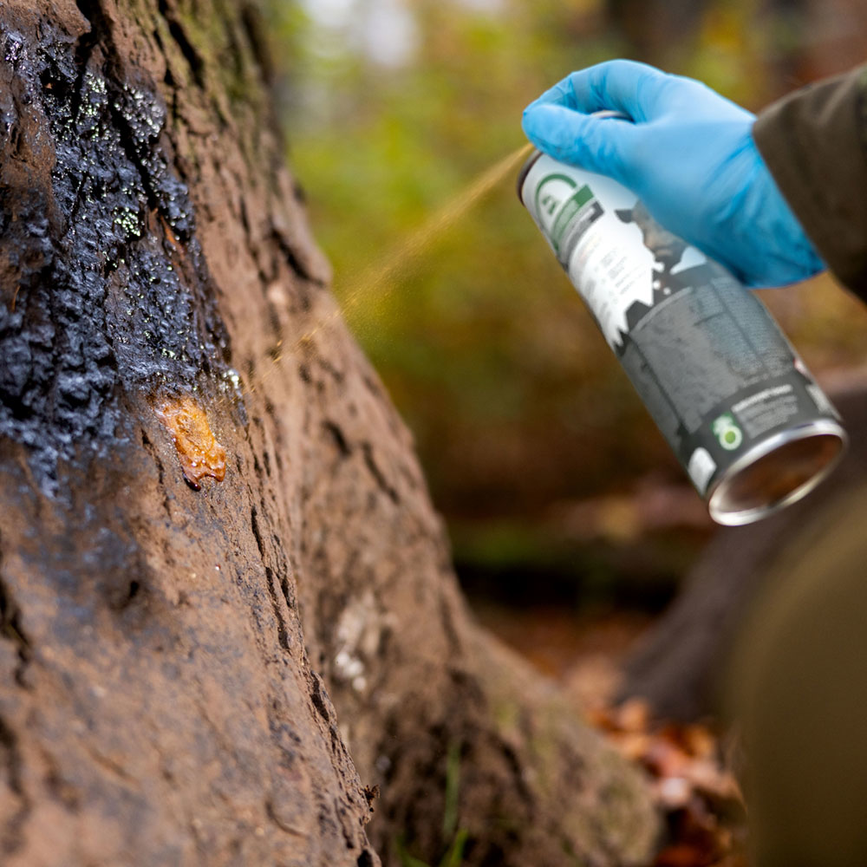 67-1a-f9-1768569523-590257_4.png