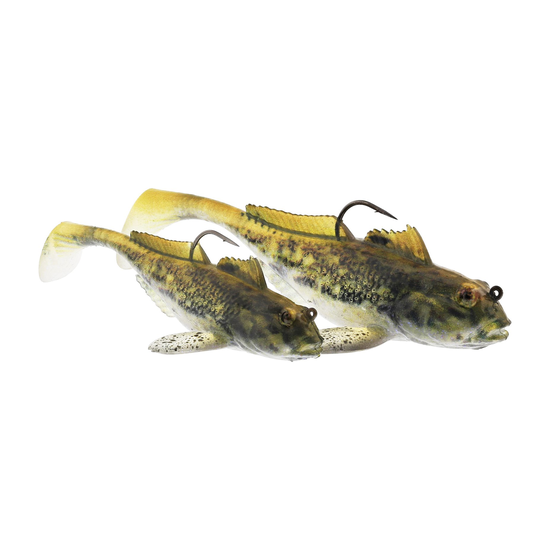 6-fairpoint-public-pim-bc-24cb51aa-5562-4b28-84d8-18ddfc44d5f1-p242_gunnar-the-goby-r2f_headline_large.png