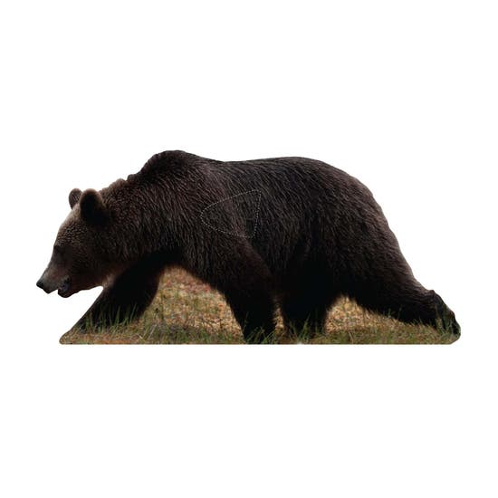 22-5102bjornv.png
