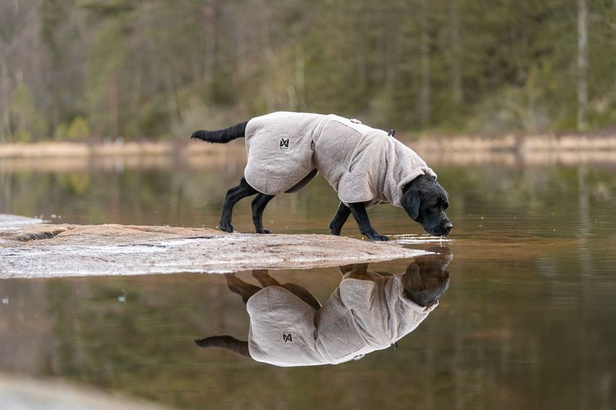 drying_coat_setting_5.png