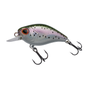 Rainbow Trout
