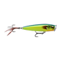 Gilded Parrot