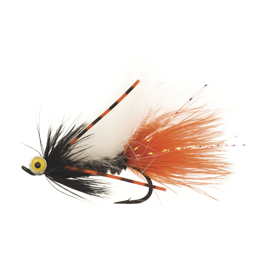 4-fairpoint-public-pim-bc-bae50e3b-4463-4eca-b713-944ef625ef3a-fl24099xz_fl00127_large.png