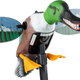 510433_4.png